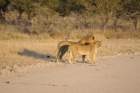 namibie2009115_small.jpg