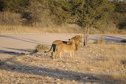 namibie2009117.jpg