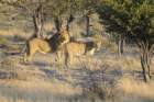 namibie2009121_small.jpg