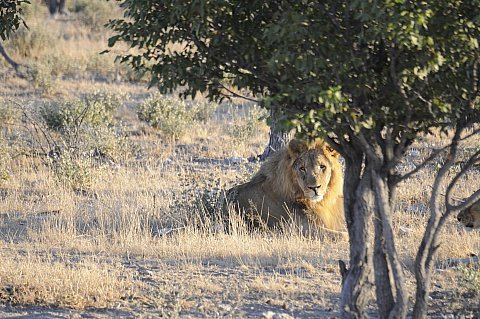 namibie2009128.jpg