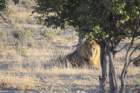 namibie2009128_small.jpg