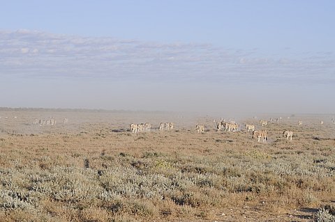 namibie2009131.jpg