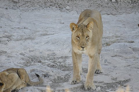 namibie2009168.jpg