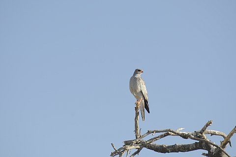 namibie2009201.jpg