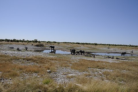 namibie2009248.jpg