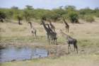 namibie2009260_small.jpg