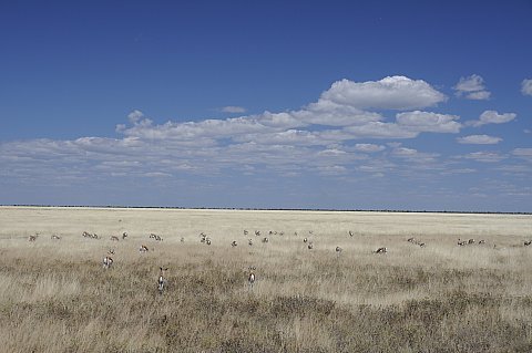 namibie2009282.jpg