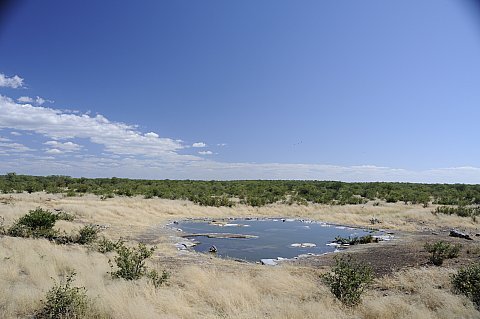 namibie2009285.jpg