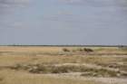 namibie2009330_small.jpg