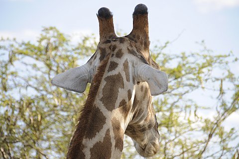 namibie2009440.jpg