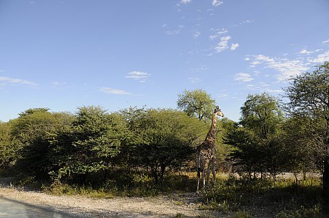 namibie2009442.jpg