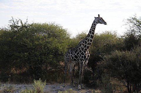 namibie2009444.jpg