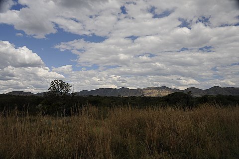 namibie2009469.jpg